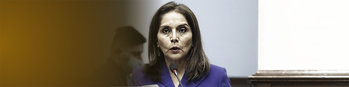 Patricia Juarez bicameralidad